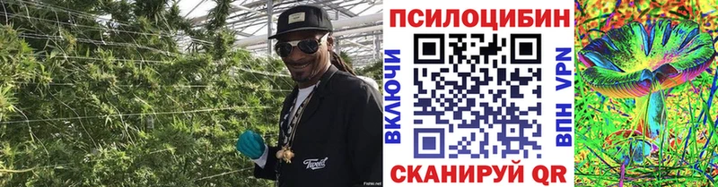 Псилоцибиновые грибы мицелий Купить закладки Армавир